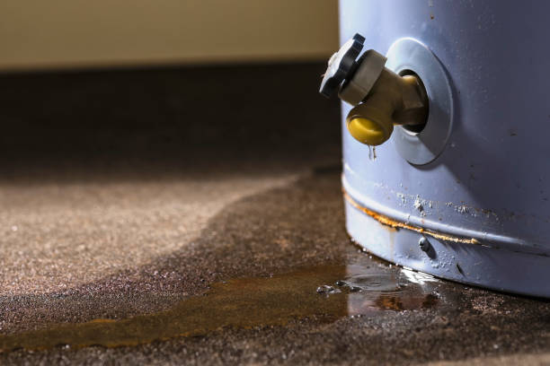 Best Water damage restoration mold remediation  in Eureka, MT