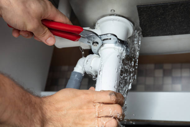Best Mold removal after water damage  in Eureka, MT