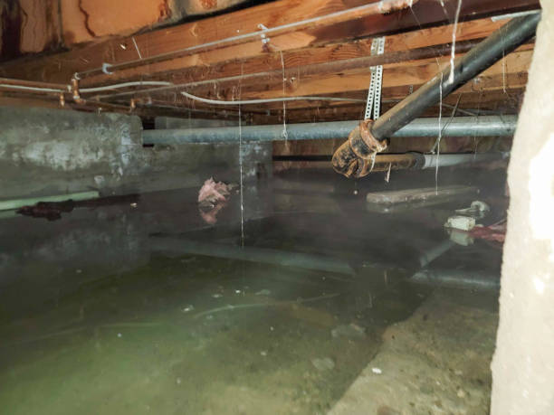  Eureka, MT Water damage restoration Pros