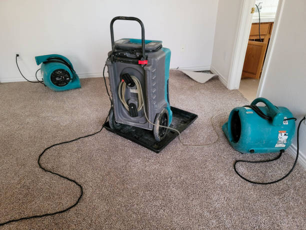 Best Residential water damage restoration  in Eureka, MT