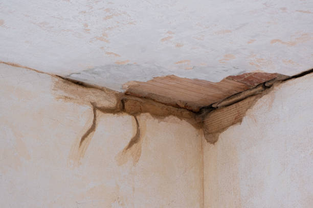 Best Fire Damage Restoration  in Eureka, MT