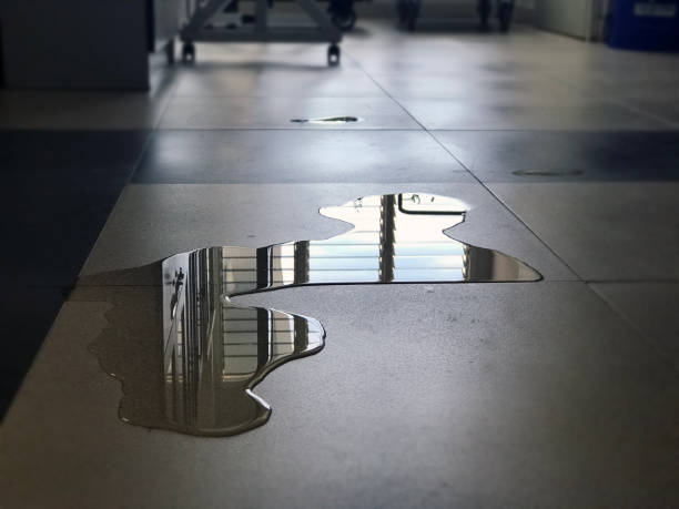 Best Water damage restoration near me  in Eureka, MT