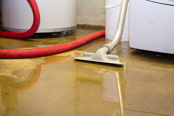 Best Carpet water damage restoration  in Eureka, MT