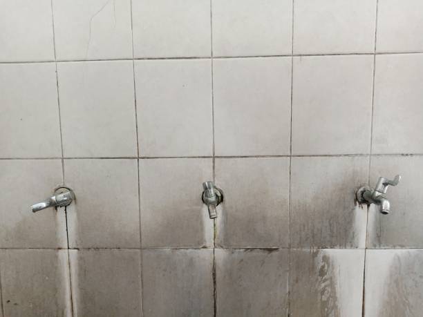 Best Water damage restoration services  in Eureka, MT