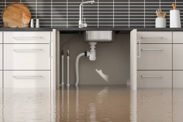 Best Flood damage cleanup  in Eureka, MT