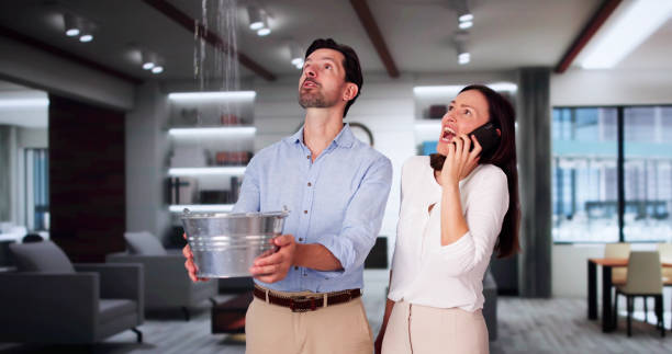 Best Water damage restoration near me  in Eureka, MT