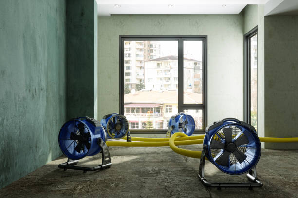 Reliable Eureka, MT Water damage restoration Solutions